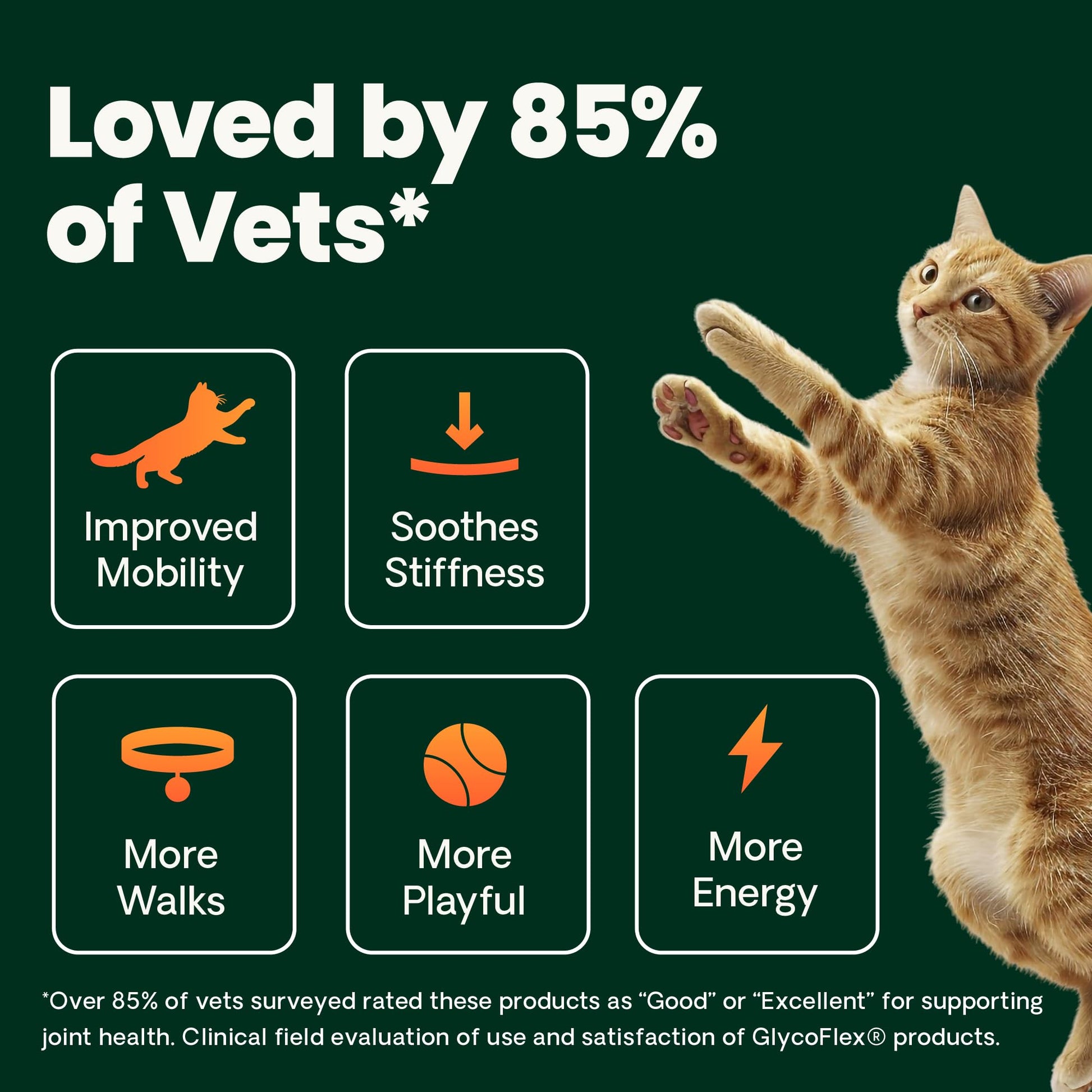 Buy now VetriScience Healthy Hip & Joint Chews, GlycoFlex Glucosamine and Green-Lipped Mussel Joint Support Supplement for Cats, Promote Mobility and Protect Joints, Chicken, 60 Count at indiglob india