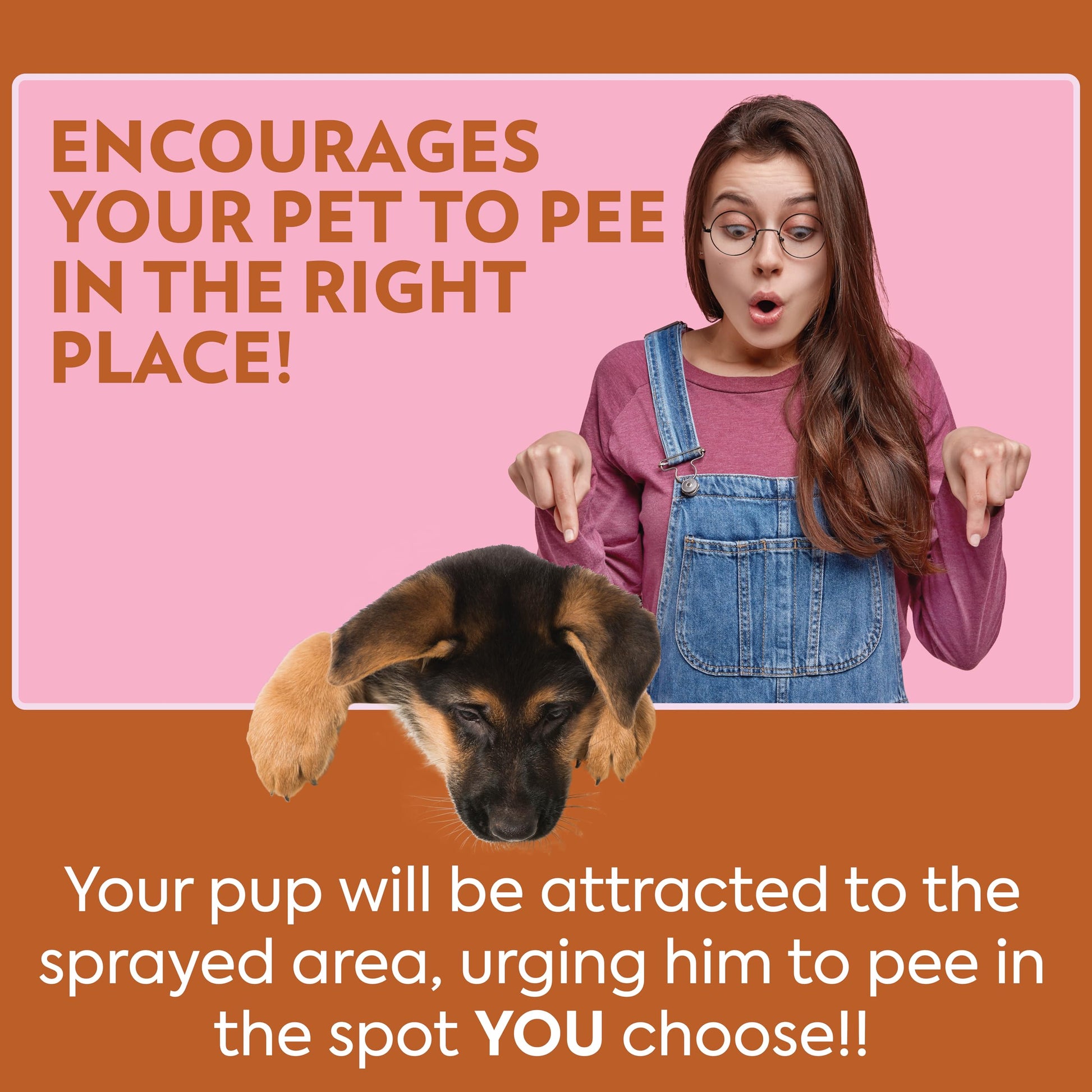 Buy now OUT! PetCare Go Here Attractant Dog and Puppy Potty Training Spray, Safe & Effective Puppy Pee Spray, Dog Housebreaking Supplies, Indoor and Outdoor House Training Tool, 32 oz at indiglob india