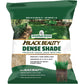 Jonathan Green (10622) Black Beauty Dense Shade Grass Seed - Cool Season Lawn Seed (1 lb)