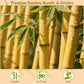 BFWood Bamboo Paddle Hairbrush with Bamboo Bristles for Massaging Scalp