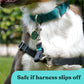 Gentle Creatures Collar Companion - Adjustable Backup Clip for Dog Harness, Prong, Pinch Collars, Gentle Lead - Double Ended Backup Clasp - Harness to Collar Safety Clip