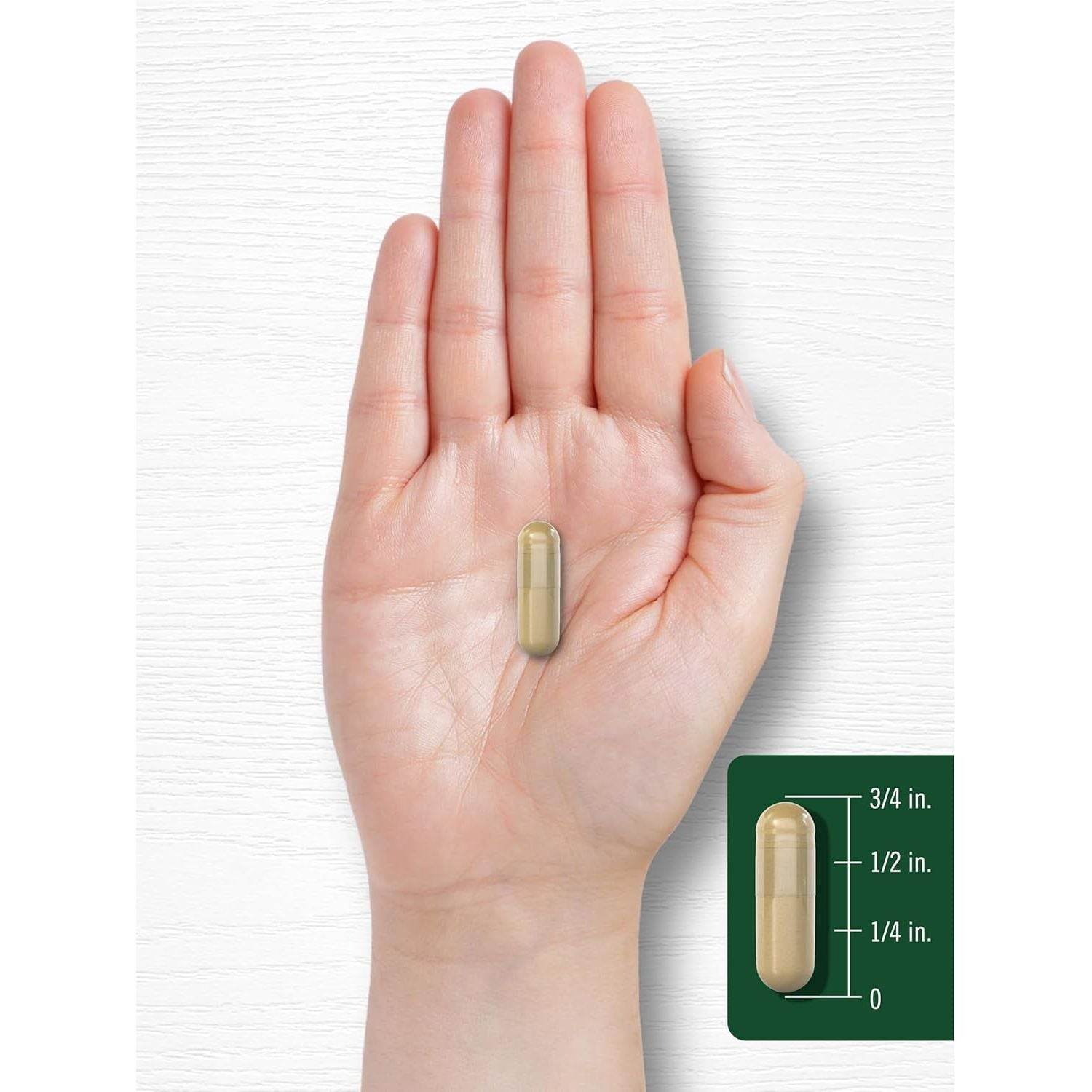 Carlyle Bacopa Monnieri Capsules | 180 Capsules | Gluten Free Supplement - My Store