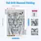 NAIMOER Tiger Diamond Art Kits for Adults,5D Diamond Art Tiger Kits DIY Full Drill Animals Diamond Art Kits for Home Wall Decoration Gifts (30X40cm)