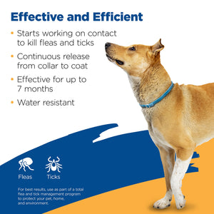 Buy now Zodiac Flea and Tick Collar for Large Dogs at indiglob india