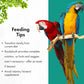 Buy now Roudybush Daily Maintenance Food for Birds - Scientifically Formulated Bird Feed - Bird Food Pellets w/Corn, Wheat, Soy & More - Nutritious & Healthy Feed for Birds (Medium, 22oz) at indiglob india