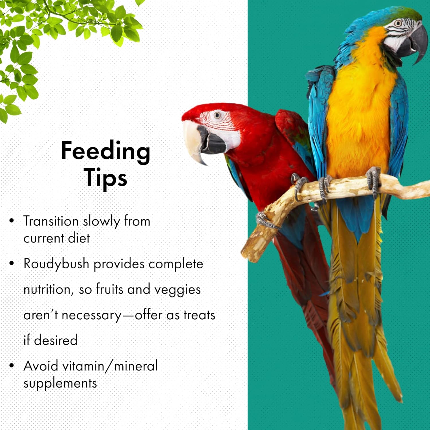 Buy now Roudybush Daily Maintenance Food for Birds - Scientifically Formulated Bird Feed - Bird Food Pellets w/Corn, Wheat, Soy & More - Nutritious & Healthy Feed for Birds (Medium, 22oz) at indiglob india