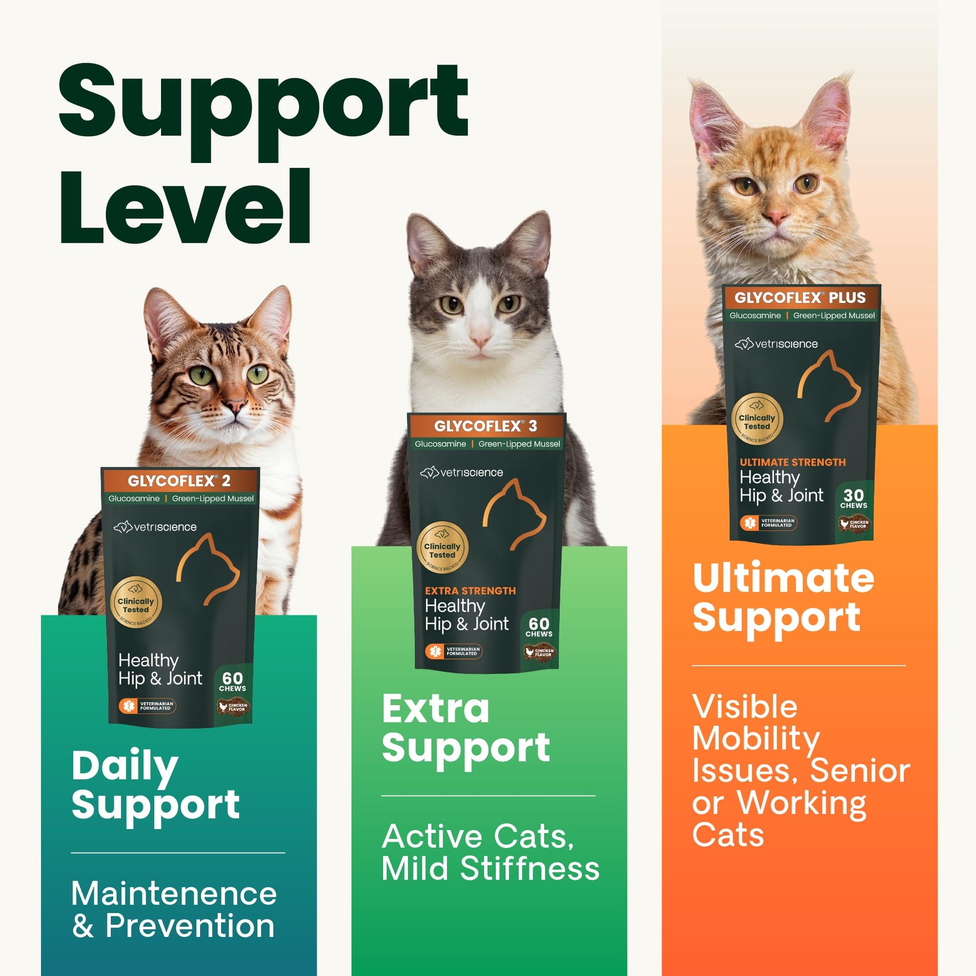 Buy now VetriScience Healthy Hip & Joint Chews, GlycoFlex Glucosamine and Green-Lipped Mussel Joint Support Supplement for Cats, Promote Mobility and Protect Joints, Chicken, 60 Count at indiglob india