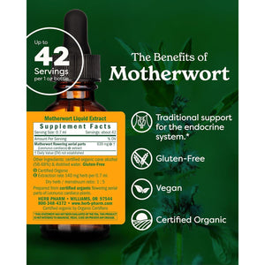 Herb Pharm Certified Organic Motherwort Liquid Extract for Endocrine System Support - 1 Ounce