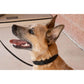 Starmark Pro-Training Dog Collar Small