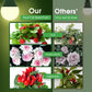 Buy now Grow Light Bulbs, Briignite LED Grow Light Bulb A19 Bulb, Full Spectrum Grow Light Bulb, Plant Light Bulbs E26 Base, 11W Grow Bulb 100W Equivalent, Grow Light for Indoor Plants, Seed Starting, 2Pack at indiglob india