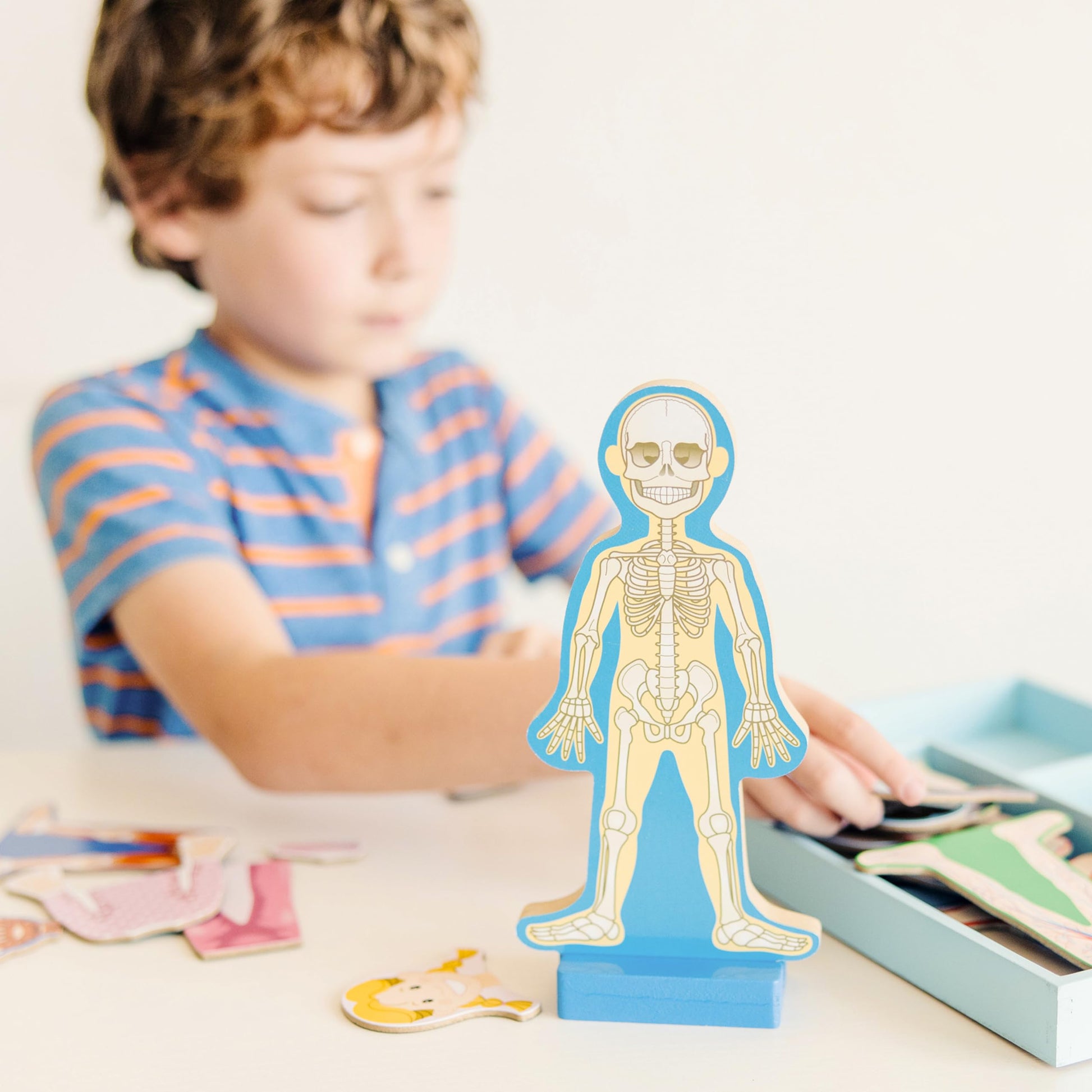 Buy now Melissa & Doug Magnetic Human Body Anatomy Play Set with 24 Magnetic Pieces and Storage Tray at indiglob india
