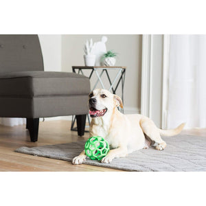 JW Pet Hol-ee Roller Dog Toy Puzzle Ball, Natural Rubber, Large (5.5 Inch Diameter), Colors May Vary