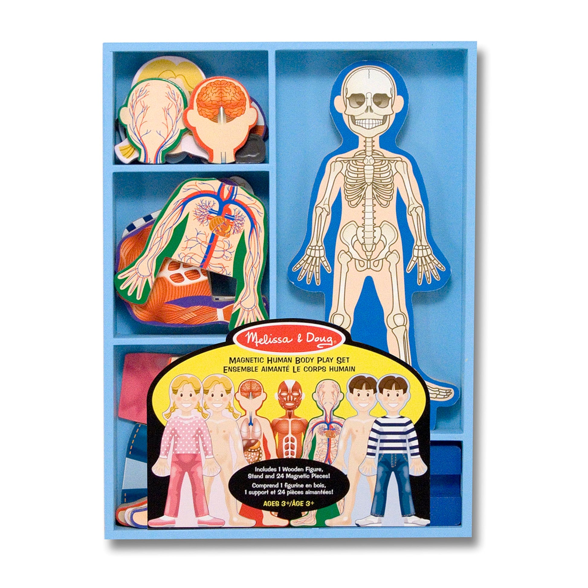 Buy now Melissa & Doug Magnetic Human Body Anatomy Play Set with 24 Magnetic Pieces and Storage Tray at indiglob india