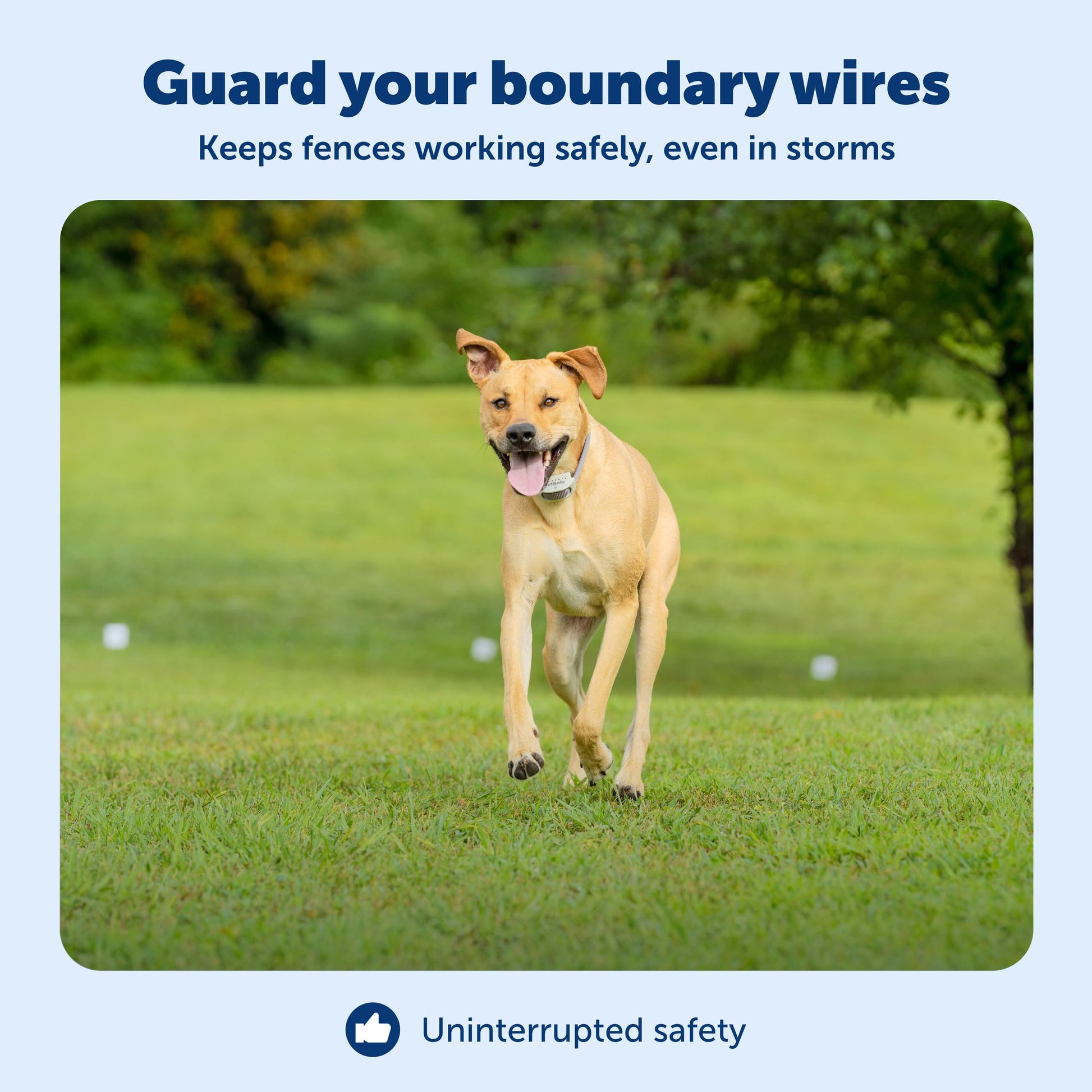 Buy now PetSafe Surge Protector for Pet Fences - Surge Protection Device - Electrical Protector - Durable Pet Fence Kit - Easy Installation - Fence Guard for Dogs - Outdoor Training Tool at indiglob india