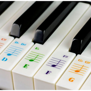 Buy now QMG Piano Keyboard Stickers for 88/76/61/54/49/37 Key Large Letter Piano Stickers for Learning, Removable Piano Keyboard Letters, Notes Label for Beginners and Kids, Made in USA at indiglob india
