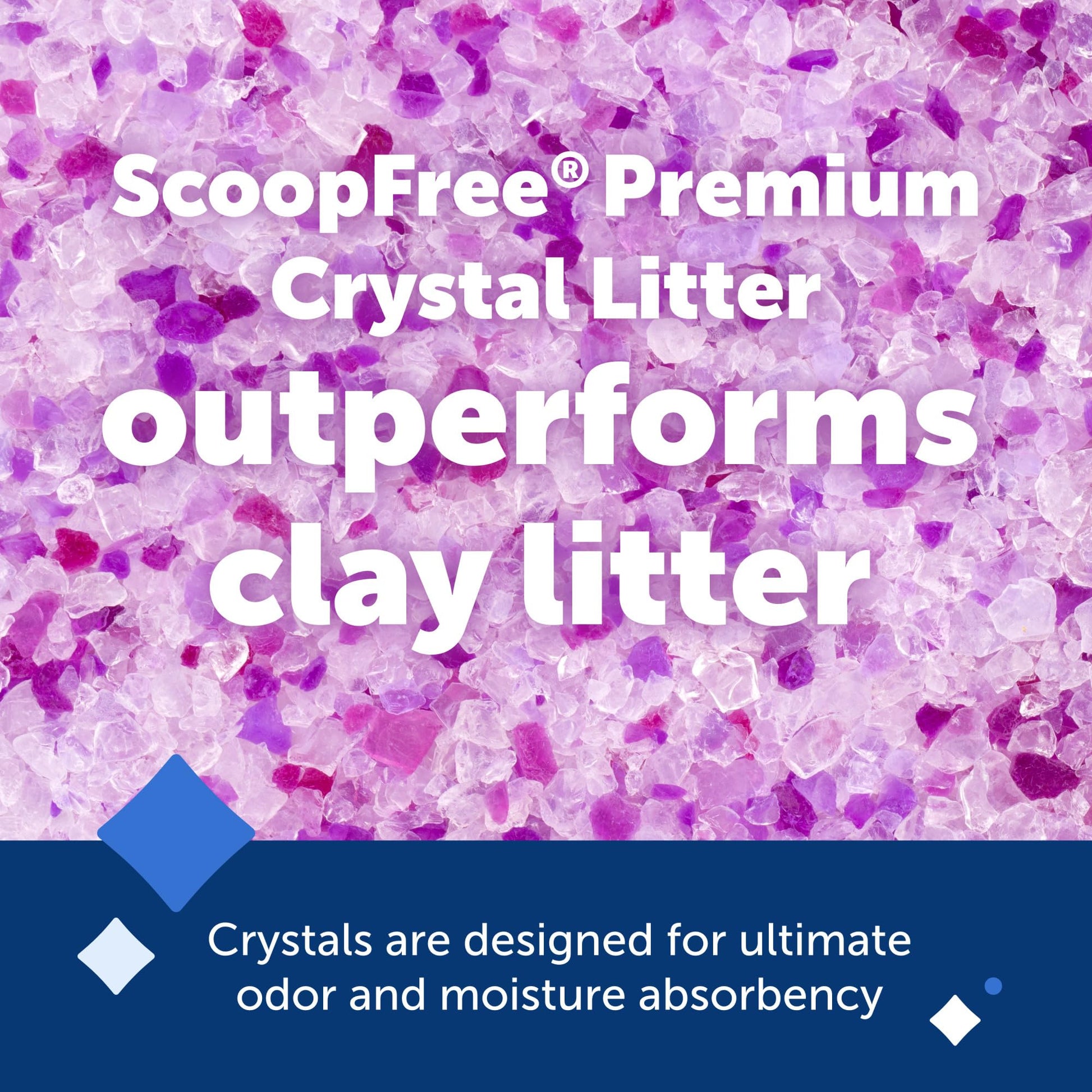 Buy now PetSafe ScoopFree Premium Natural Cat Litter - Eco-Friendly Long-Lasting Litter - High Absorbency & Low-Tracking Design - Non-Clumping Pebbles - 4.2 lb Bag - 2 Pack at indiglob india