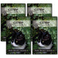 Sow Right Seeds - Catnip Seed for Planting - Popular Herb for Happy Cats - Non-GMO Heirloom Packet with Instructions to Plant and Grow - A Gift for The Cat Lover - Perennial Herb Indoors (1)