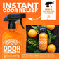 Buy now ANGRY ORANGE Pet Odor Eliminator for Dog and Cat Urine, Carpet Stains, and Strong Smells – Citrus Cleaner with Natural Orange Oil – 24 oz at indiglob india