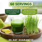 Dr. Berg USDA Certified Organic Green Powder Superfood (60 Servings) - Made with Raw Wheatgrass, Chlorophyll, Trace Minerals & Natural Enzymes - Non-GMO Green Superfood Powder - Lemon Flavor