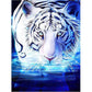 NAIMOER Tiger Diamond Art Kits for Adults,5D Diamond Art Tiger Kits DIY Full Drill Animals Diamond Art Kits for Home Wall Decoration Gifts (30X40cm)