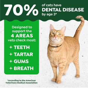 Buy now Greenies Cat Treats, Veterinarian-Recommended Adult Natural Dental Cat Treats, Tempting Tuna Flavor, 21 oz. Tub at indiglob india
