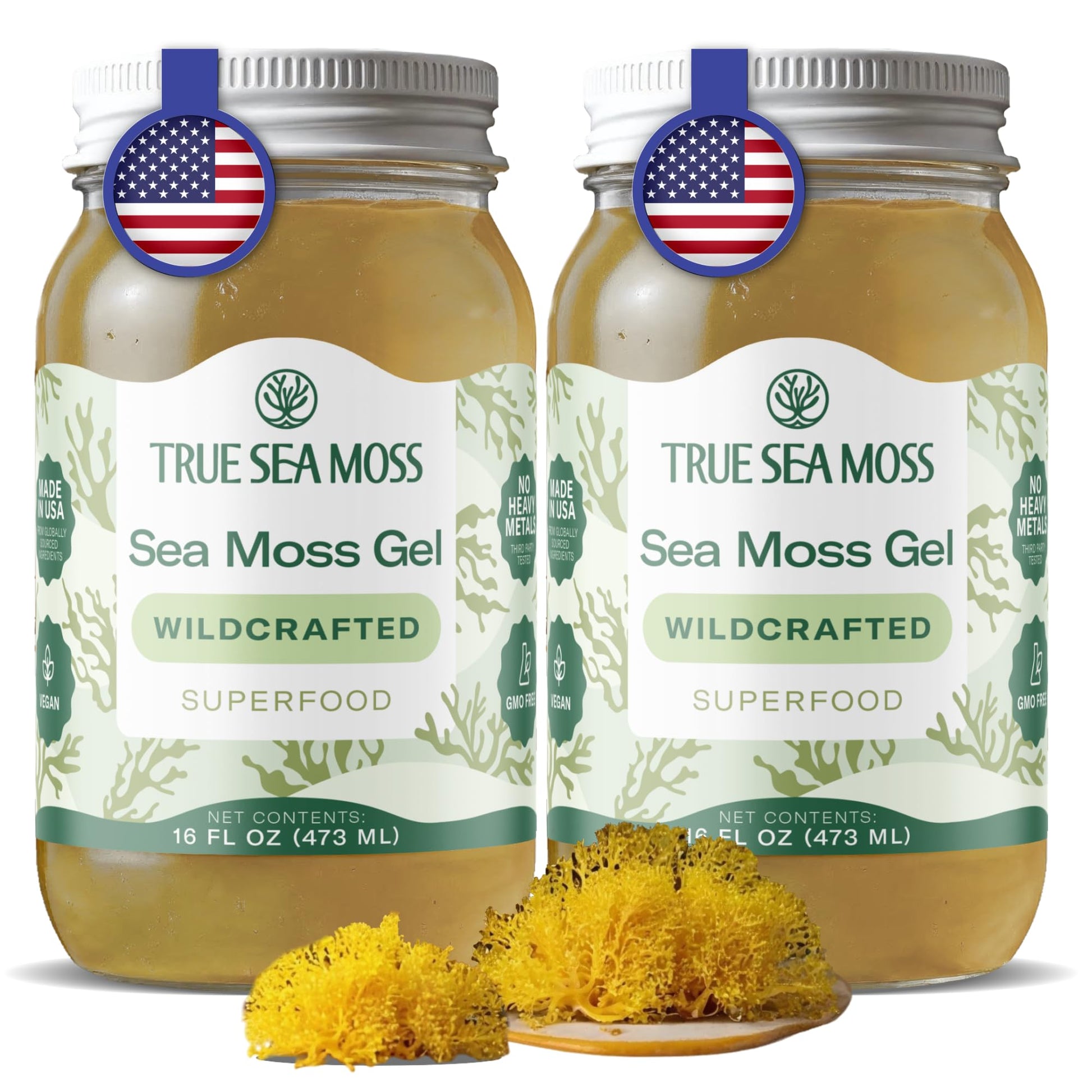 Buy now TrueSeaMoss Sea Moss Gel – Made in USA – Wildcrafted Seamoss, Fruits & Jarred Vegetables – Pineapple, Pack of 1 (Labels may Vary) at indiglob india