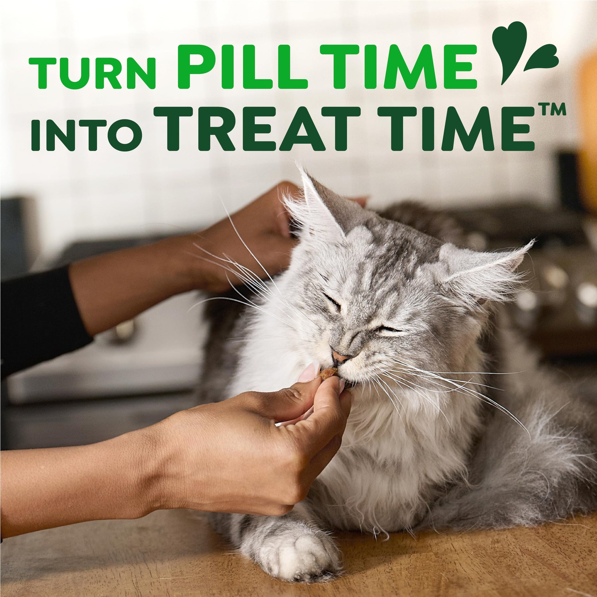 Buy now Greenies Feline Pill Pockets for Cats Soft Cat Treats, Chicken Flavor, 1.6 oz. Pouch, 45 Count at indiglob india