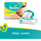 Pampers Swaddlers Diapers Size N 20 Count Pack of 2 (Total of 40 Pampers)