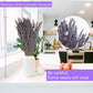 Dried Lavender Bundles, Uieke Natural Dried Lavender Flowers 280-300 Stems 16“ for Home Weeding Decoration Flower Arrangements Home Fragrance 2 Bundles