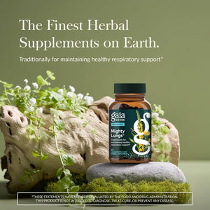 Gaia Herbs Mighty Lungs - Lung Support Supplement to Help Maintain Overall Lung & Respiratory Health* - With Mullein, Plantain, Schisandra & Elecampane - 60 Vegan Liquid Phyto-Capsules (30-Day Supply)