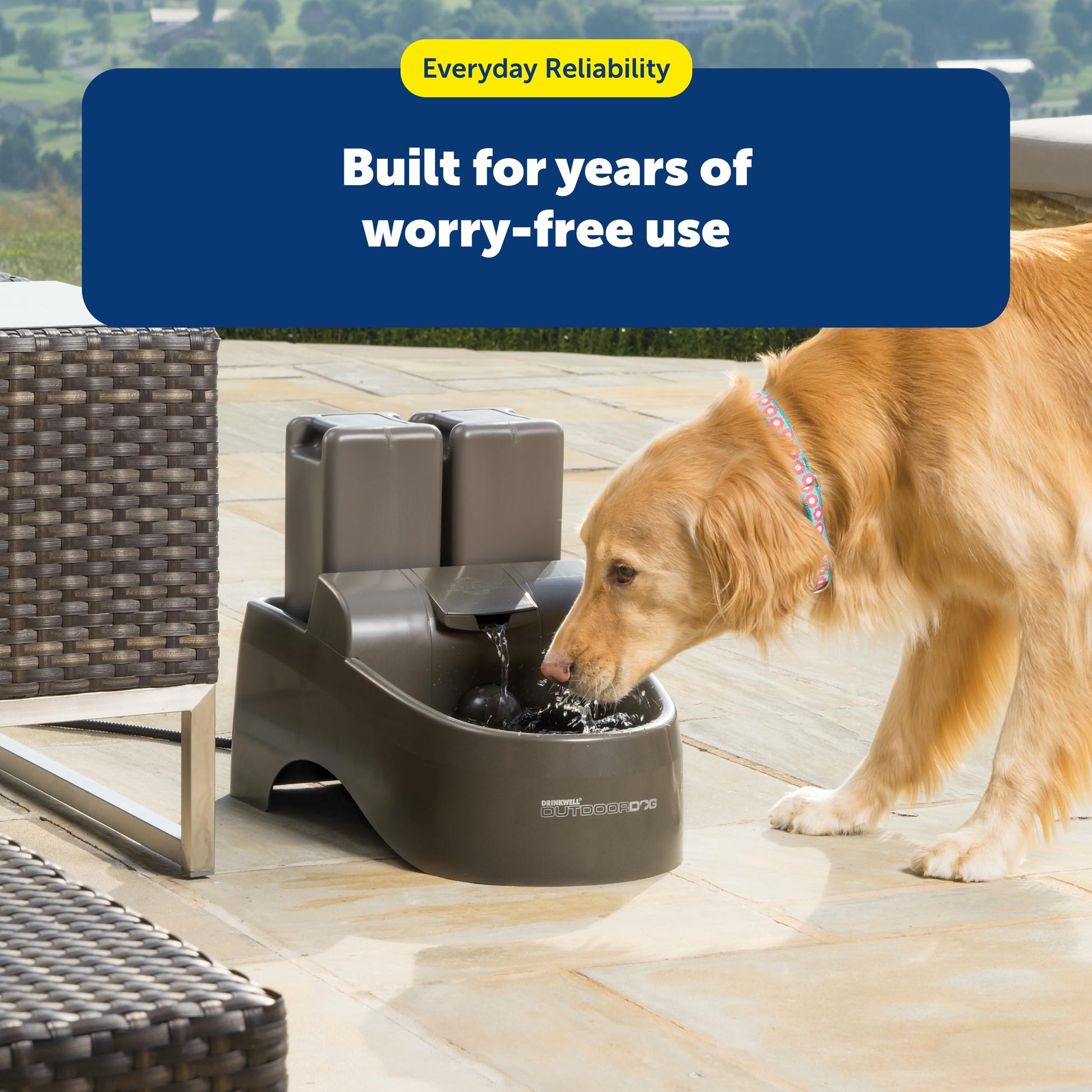 Buy now PetSafe Drinkwell Replacement Pump - Reliable OEM Replacement - Drinkwell Pump Accessory - Includes Power Adaptor - Silent Operation for a Calm Pet Environment - Easy to Clean at indiglob india
