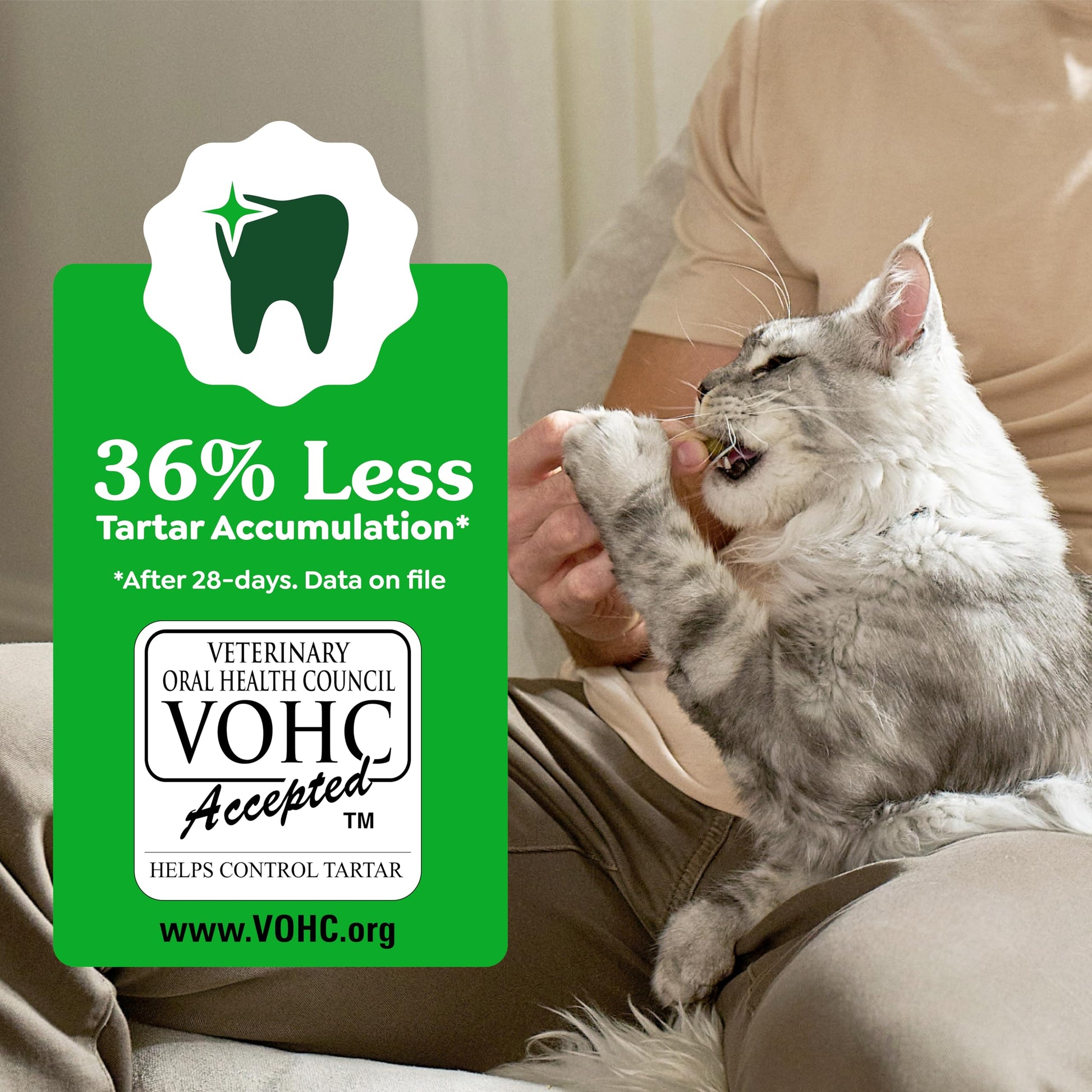 Buy now Greenies Cat Treats, Veterinarian-Recommended Adult Natural Dental Cat Treats, Tempting Tuna Flavor, 9.75 oz. Tub at indiglob india
