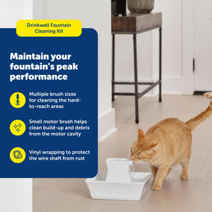 Buy now PetSafe Drinkwell Fountain Cleaning Kit - Deep Bowl Cleaning for Hard-to-Reach Areas of Compatible Cat Fountains - Removes Hidden Residue & Maintains Pump Performance at indiglob india