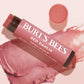 Burt's Bees Lip Tint Balm Stocking Stuffers Gifts, Long Lasting 2 in 1 Duo Tinted Balm Formula, Color Infused with Hydrating Shea Butter for a Natural Looking Buildable Finish, Red Dahlia (2-Pack)
