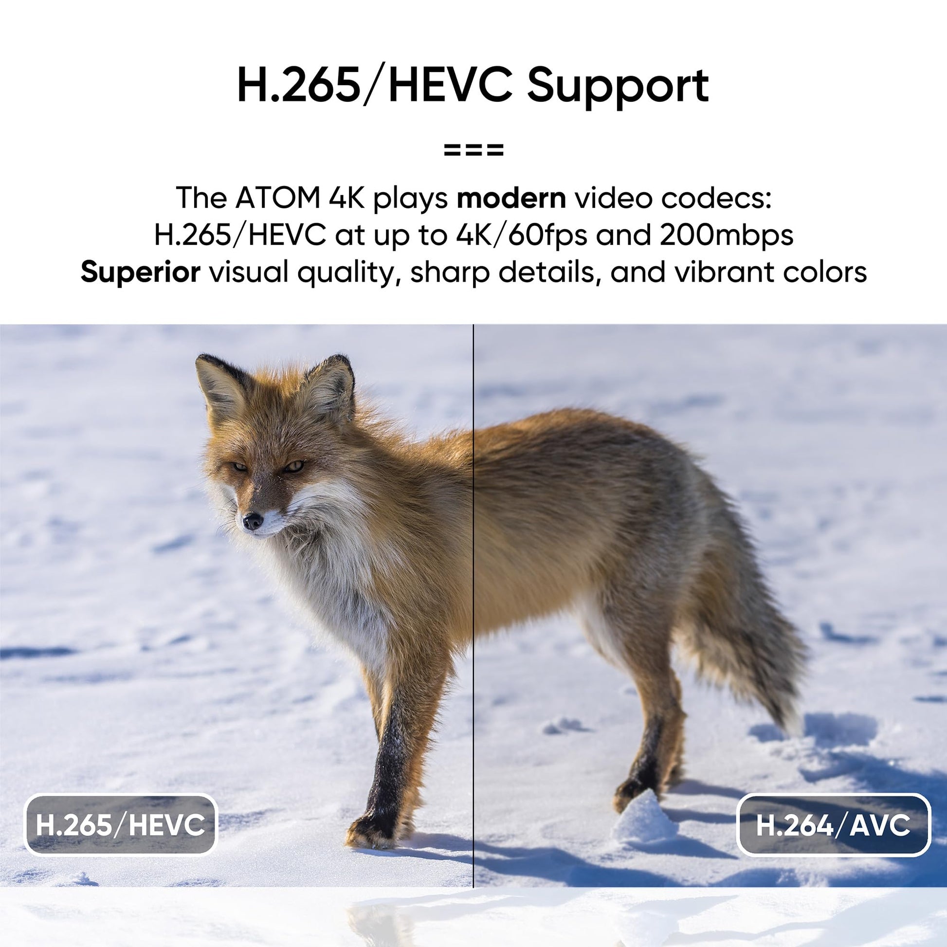 Buy now NEUMI Atom 4K Ultra-HD Digital Media Player for USB Drives and SD Cards - Plays 4K/UHD 60fps Videos, HEVC/H.265, HDMI and Analog AV, Automatic Playback and Looping Capability at indiglob india