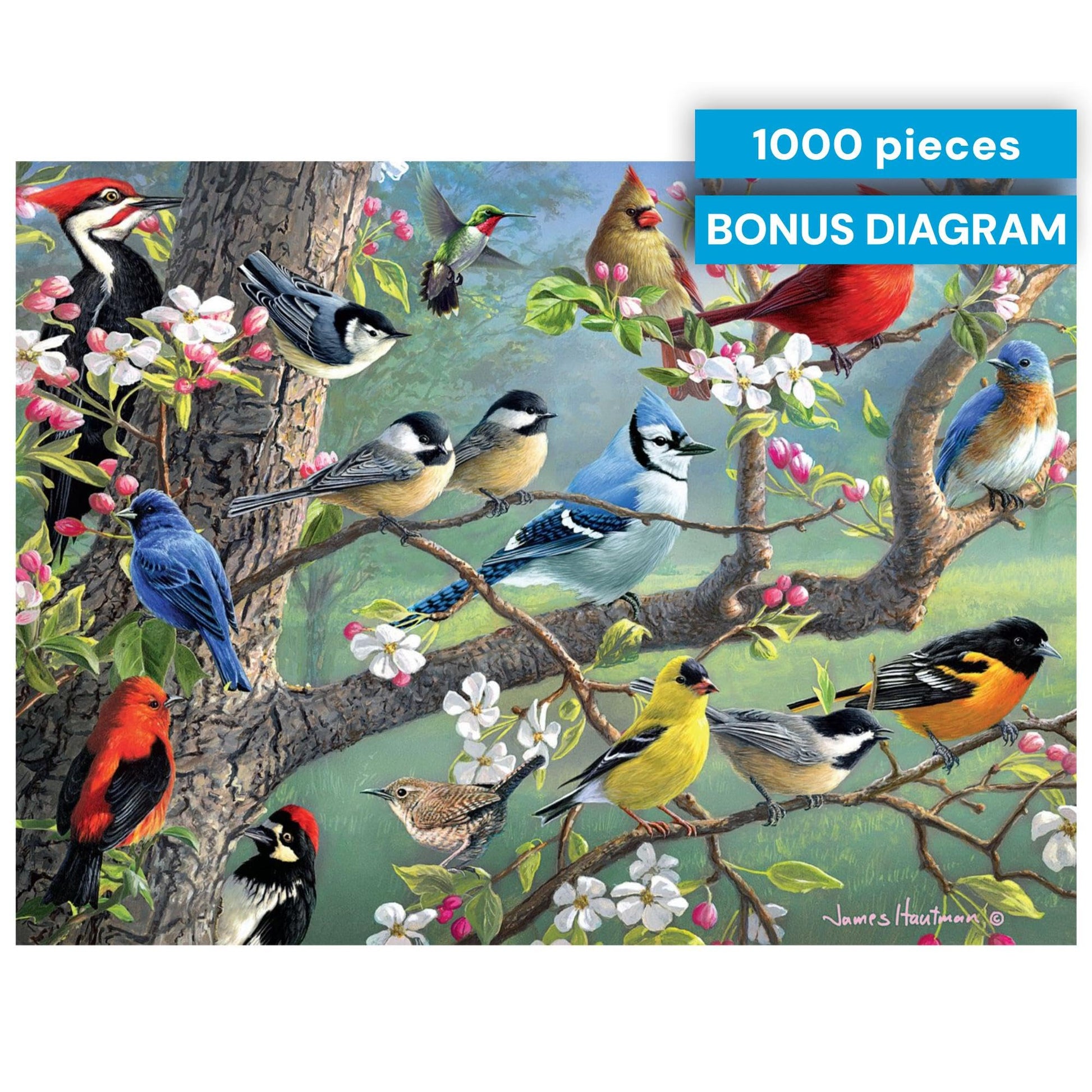 Buy now Buffalo Games - Birds in an Orchard - Hautman - 1000 Piece Jigsaw Puzzle for Adults, Challenging Bird Puzzle for Game Nights, Finished Size 26.75 x 19.75, Made in the USA at indiglob india