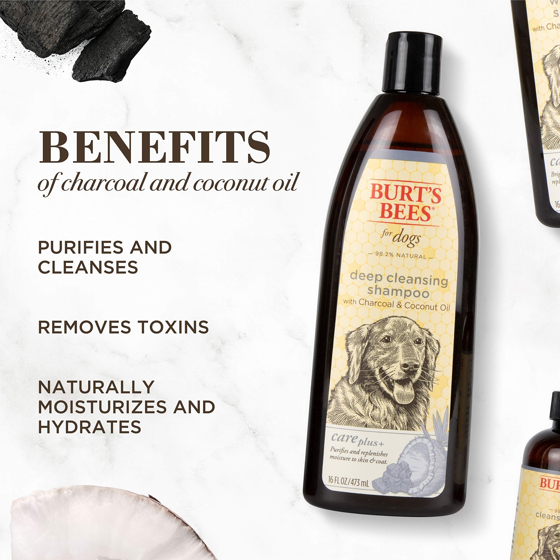 Buy now Burt's Bees for Pets Care Plus+ Naturally Derived Deep Cleansing Charcoal & Coconut Oil Shampoo - Dog Shampoo to Naturally Derivedly Purify and Replenish Dog's Skin & Coat - Made in USA, 16 Oz at indiglob india