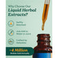 Herb Pharm Chanca Piedra Liquid Extract for Urinary System Support, 1 Fl Oz