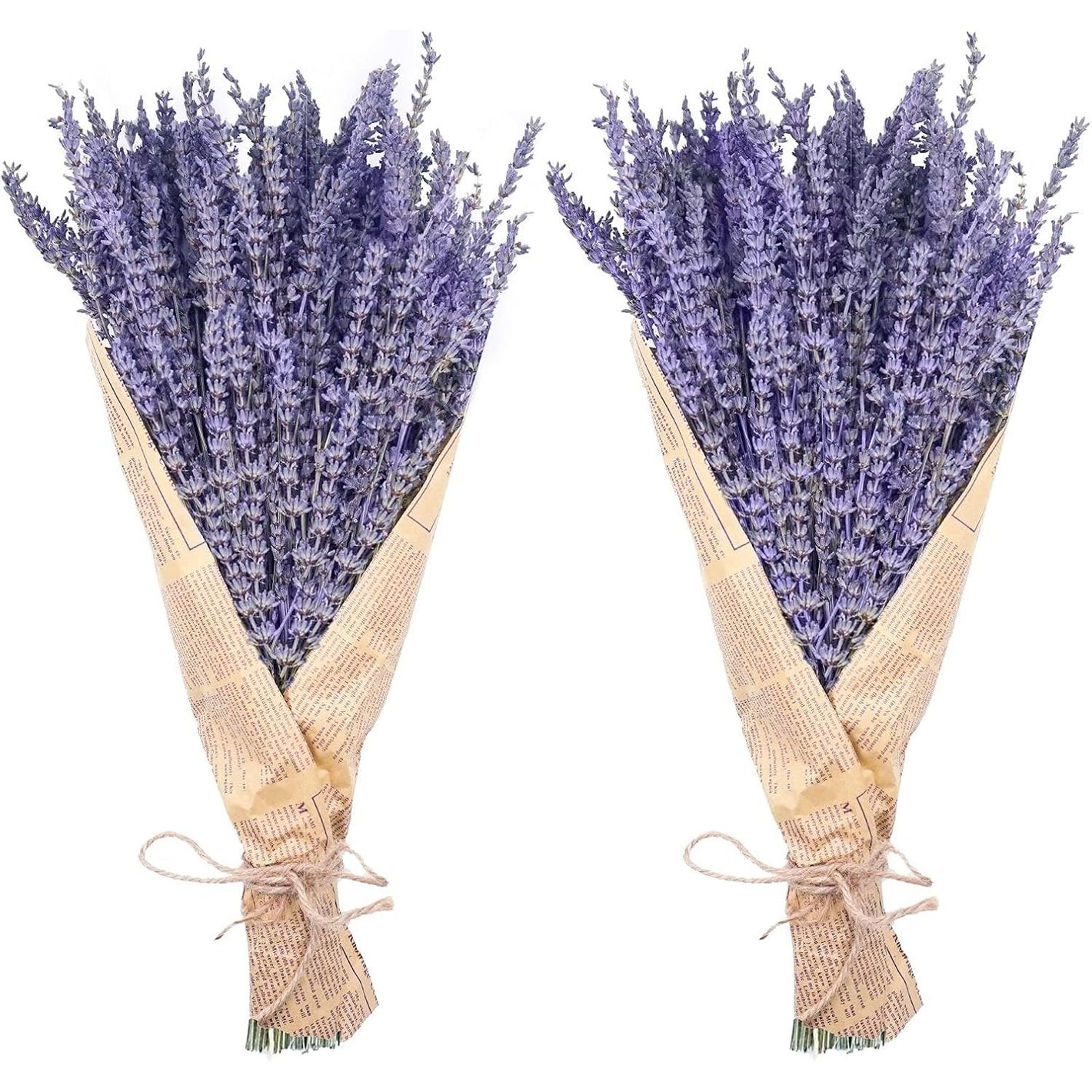 Dried Lavender Bundles, Uieke Natural Dried Lavender Flowers 280-300 Stems 16“ for Home Weeding Decoration Flower Arrangements Home Fragrance 2 Bundles