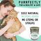 from The Field | Fine Ground Stalkless Catnip | Premium USA-Grown Catnip for Toys & Playtime | Fresh, Potent, Non-Toxic, Eco-Friendly | Safe for Kittens & Cats | Resealable 6 oz Tub