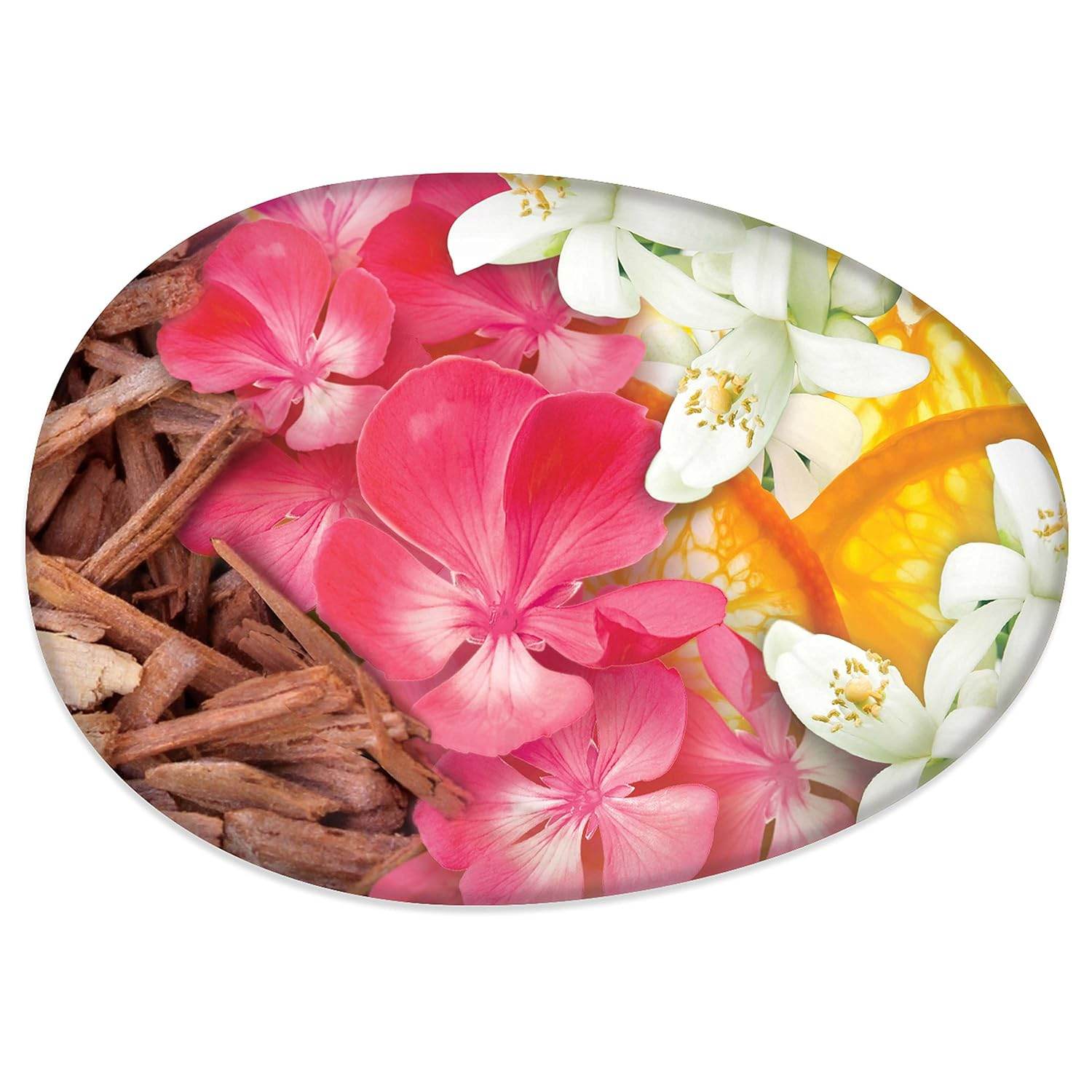 Caress Beauty Bar Soap For Women, Daily Silk With Silk Extract and Floral Oil Essence Moisturizing Body Soap for Silky, Soft Skin, 3.75 oz, 2 Bath Bars - My Store