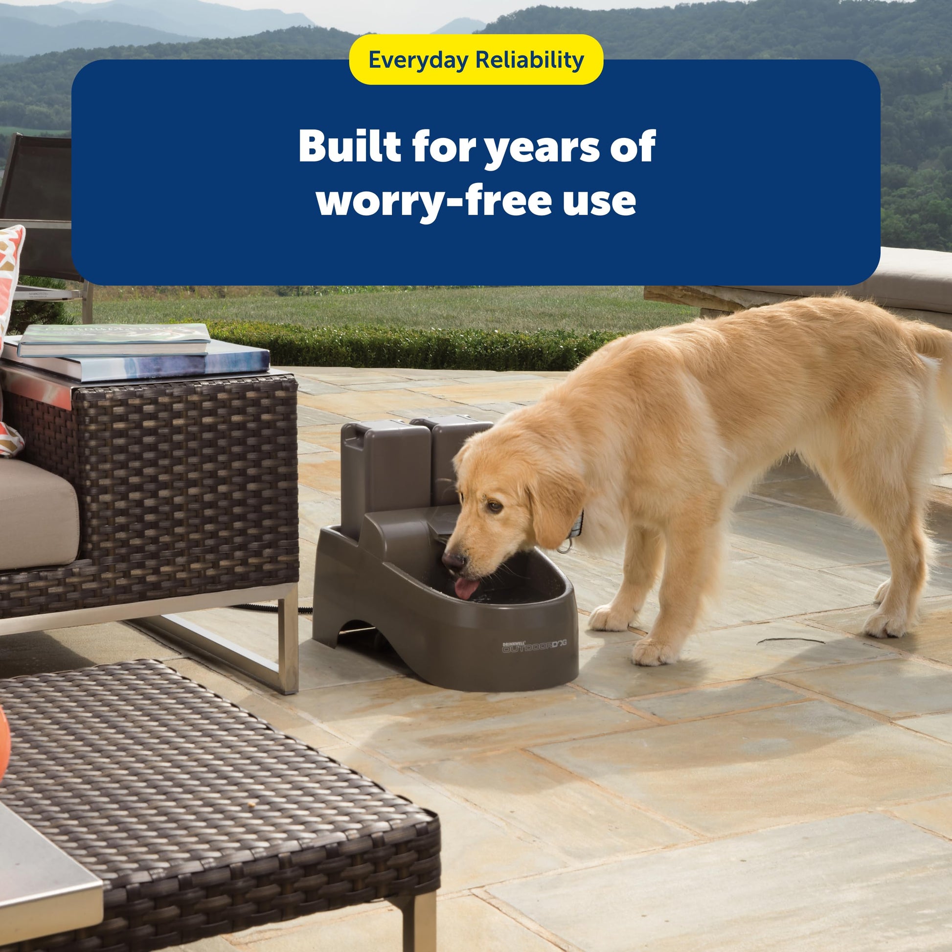 Buy now PetSafe Drinkwell Replacement Filter Pack for Outdoor Dog Water Fountain, 3 Carbon Filters & 1 Foam Filter at indiglob india