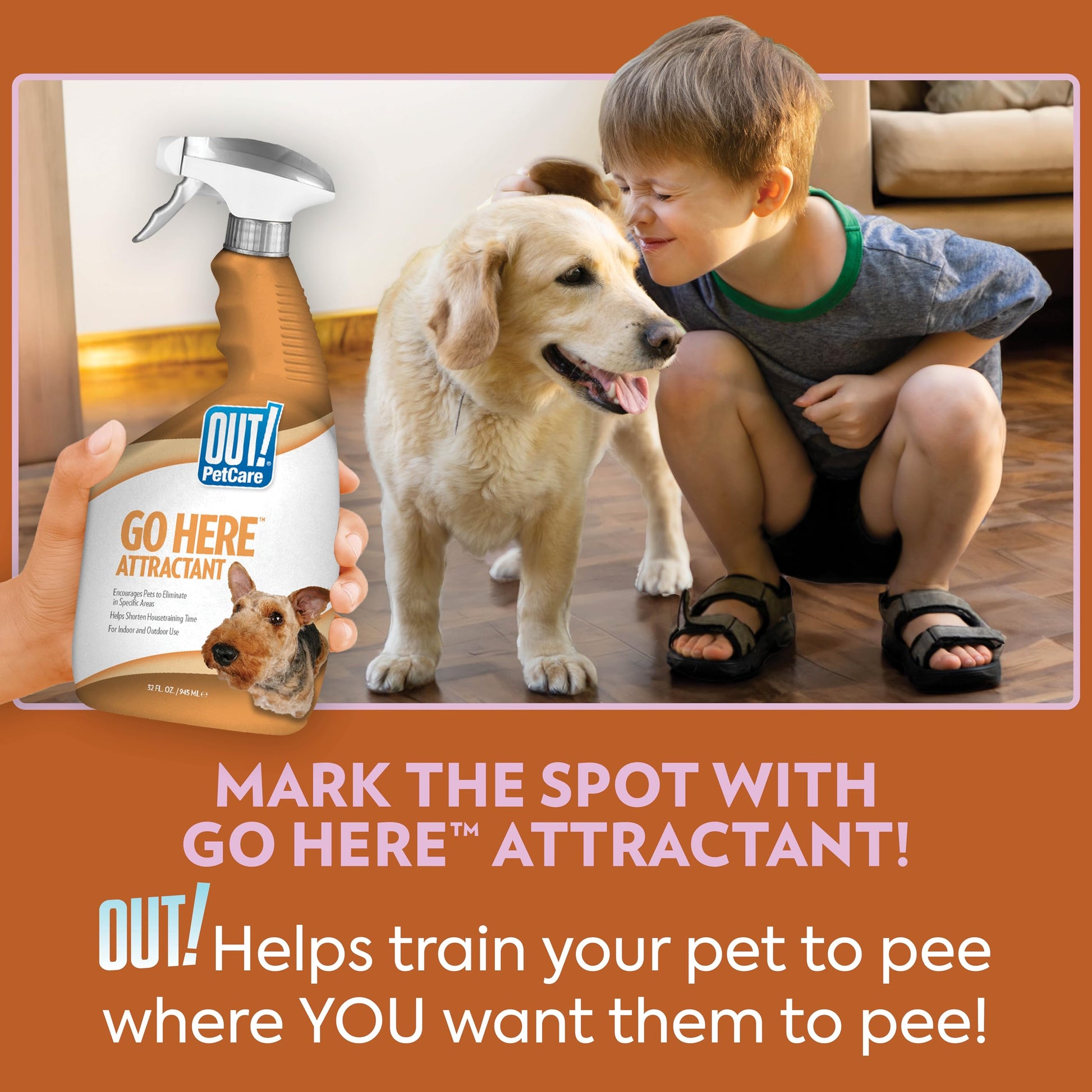 Buy now OUT! PetCare Go Here Attractant Dog and Puppy Potty Training Spray, Safe & Effective Puppy Pee Spray, Dog Housebreaking Supplies, Indoor and Outdoor House Training Tool, 32 oz at indiglob india