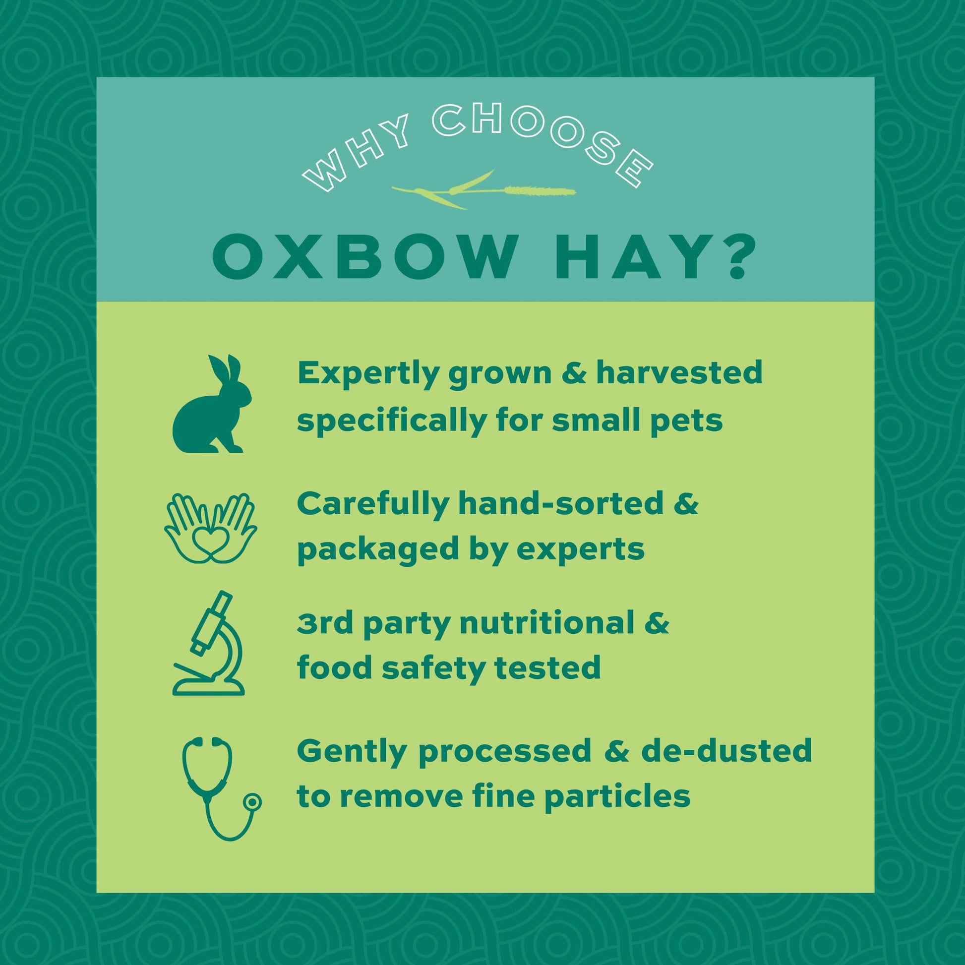 Buy now Oxbow Orchard Grass Hay, Rabbit & Guinea Pig Hay, High Fiber for Digestive Health, Grown in the USA, Veterinarian Recommended Small Pet Supplies, for Rabbits, Guinea Pigs, & Chinchillas, 15 oz. at indiglob india