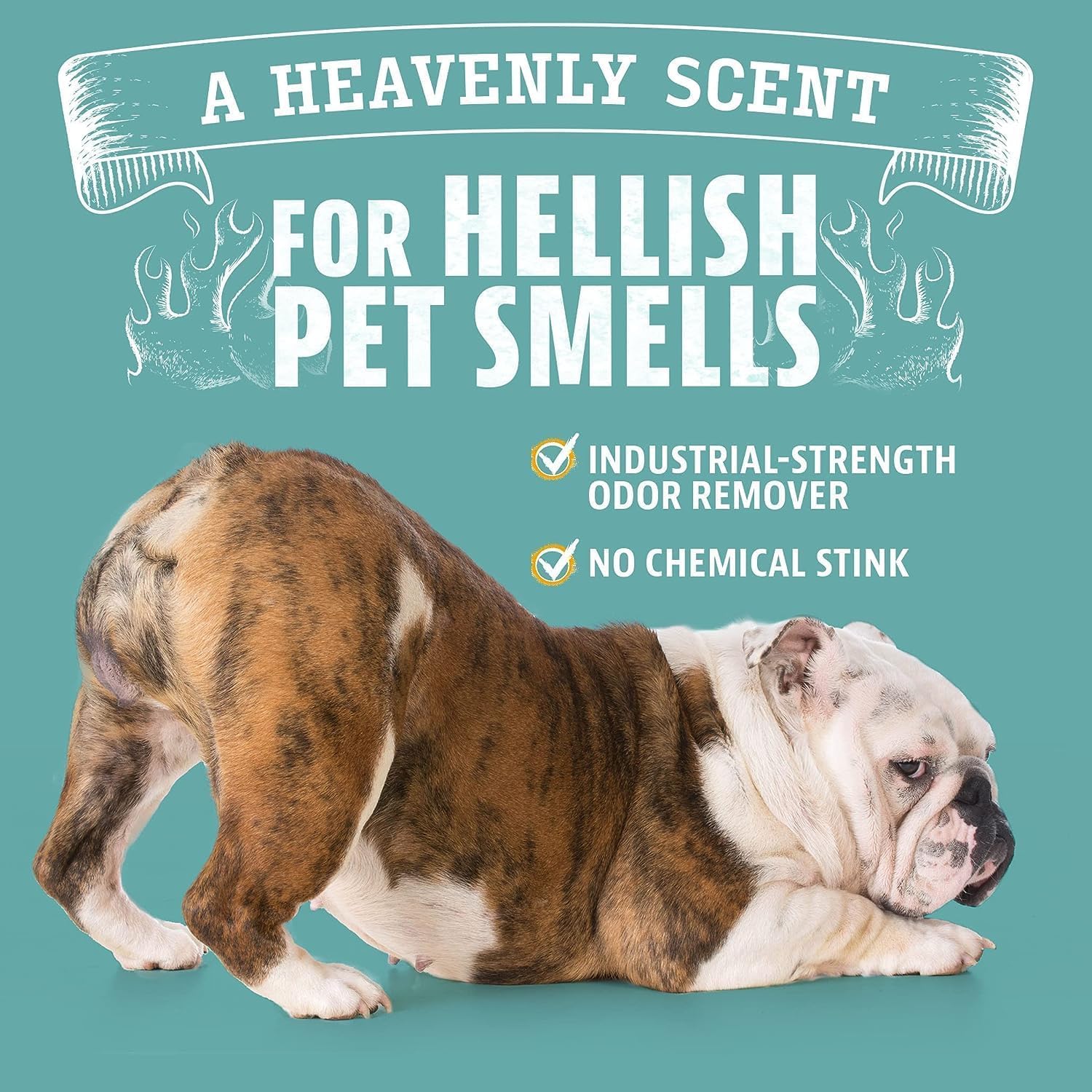 Buy now ANGRY ORANGE Pet Odor Eliminator for Dog and Cat Urine, Carpet Stains, and Strong Smells – Citrus Cleaner with Natural Orange Oil – 24 oz at indiglob india