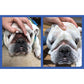 Squishface Wrinkle Paste - Bulldog, French Bulldog, Pug, English Bulldog – Cleans Wrinkles, Tear Stain, Tail Pockets, and Paws – Anti-Itch Tear Stain Remover & Bulldog Wrinkle Cream, 2 Oz.