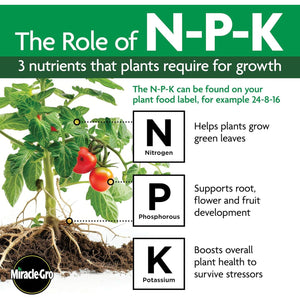 Miracle-Gro Indoor Plant Food Spikes, Includes 24 Spikes - Continuous Feeding for all Flowering and Foliage Houseplants - NPK 6-12-6