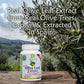 Olive Leaf Extract Capsules – 25% Oleuropein (40% Total Polyphenols), Plus 20% Hydroxytyrosol Complex – 100% Grown & Extracted in Spain (90 Capsules)