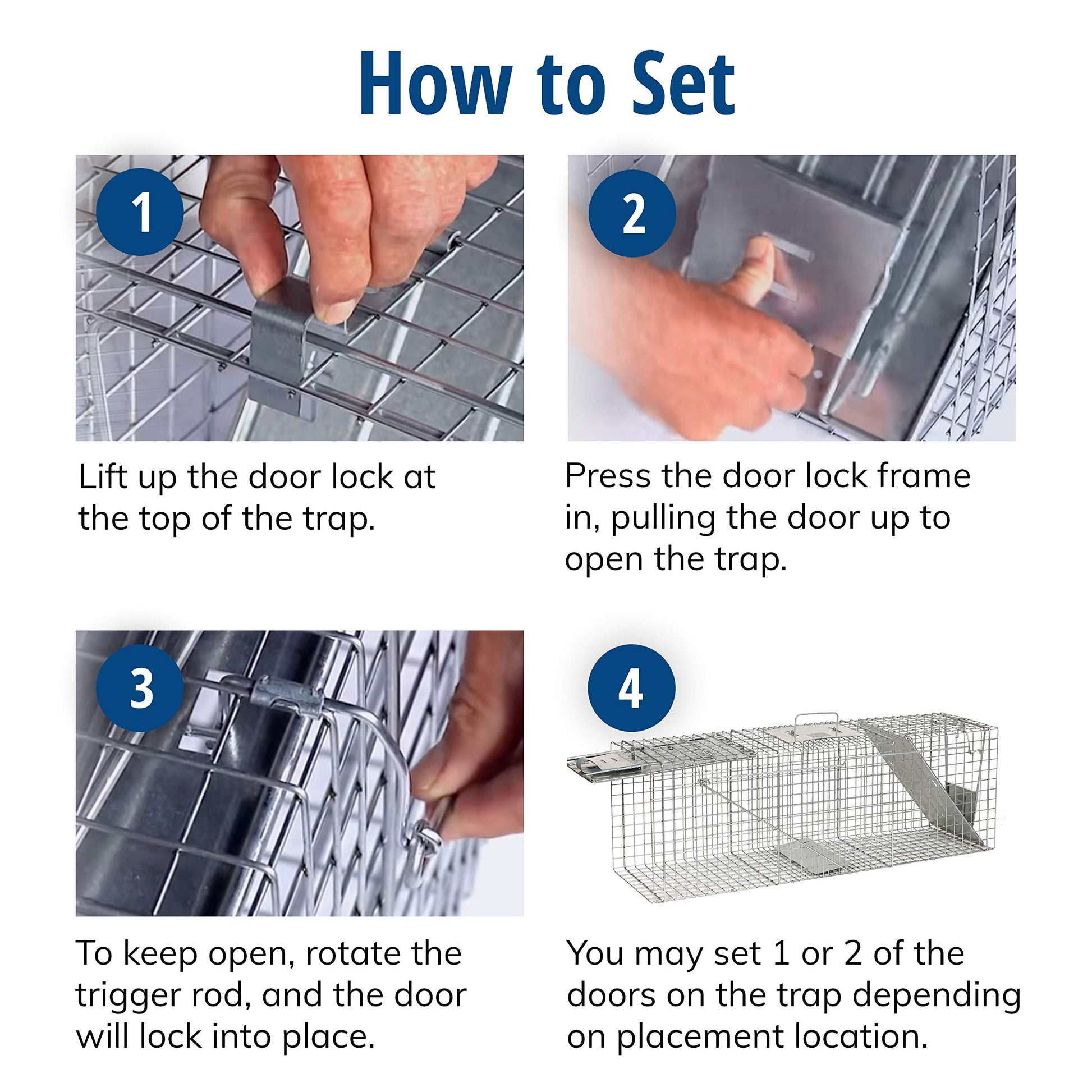 Buy now Havahart Large 2 Door Humane Catch and Release Live Animal Trap for Armadillos, Beavers, Bobcats, Small Dogs, Cats, Foxes, Groundhogs, Nutria, Opossums, Raccoons, Live Catch Trap for Stray Dogs 1045SR at indiglob india