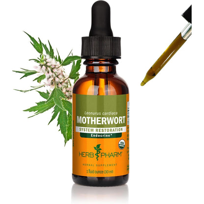 Herb Pharm Certified Organic Motherwort Liquid Extract for Endocrine System Support - 1 Ounce